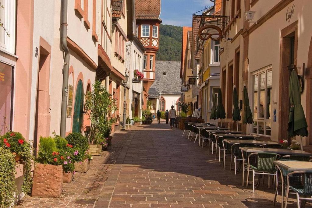 Апартаменты Luftkurort, Perle Des Neckartals Хиршхорн Экстерьер фото