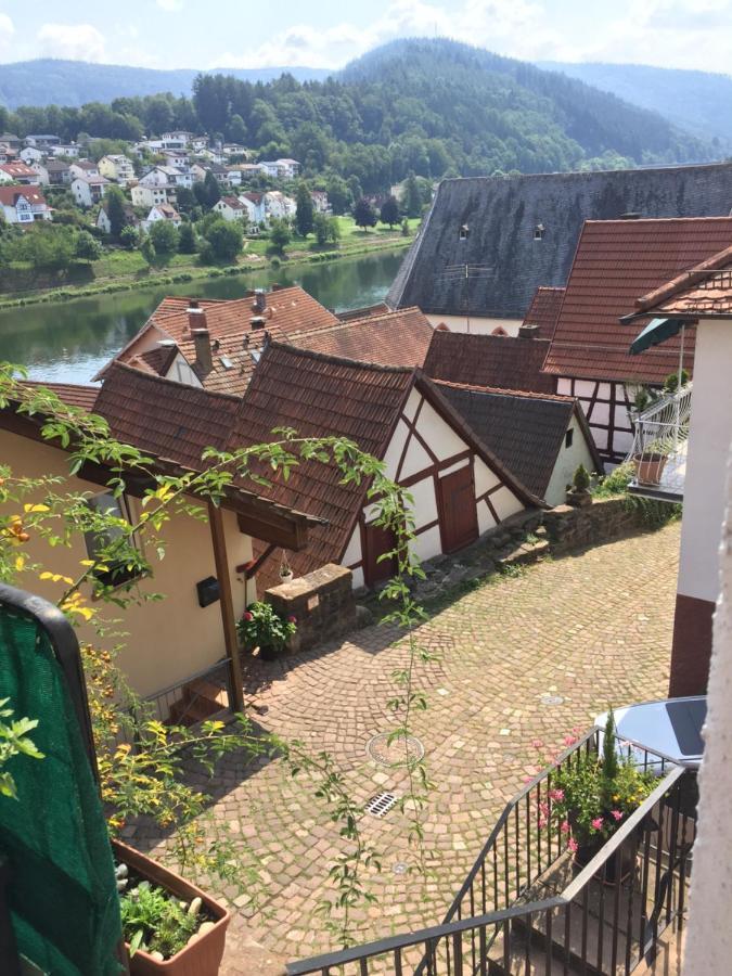 Апартаменты Luftkurort, Perle Des Neckartals Хиршхорн Экстерьер фото