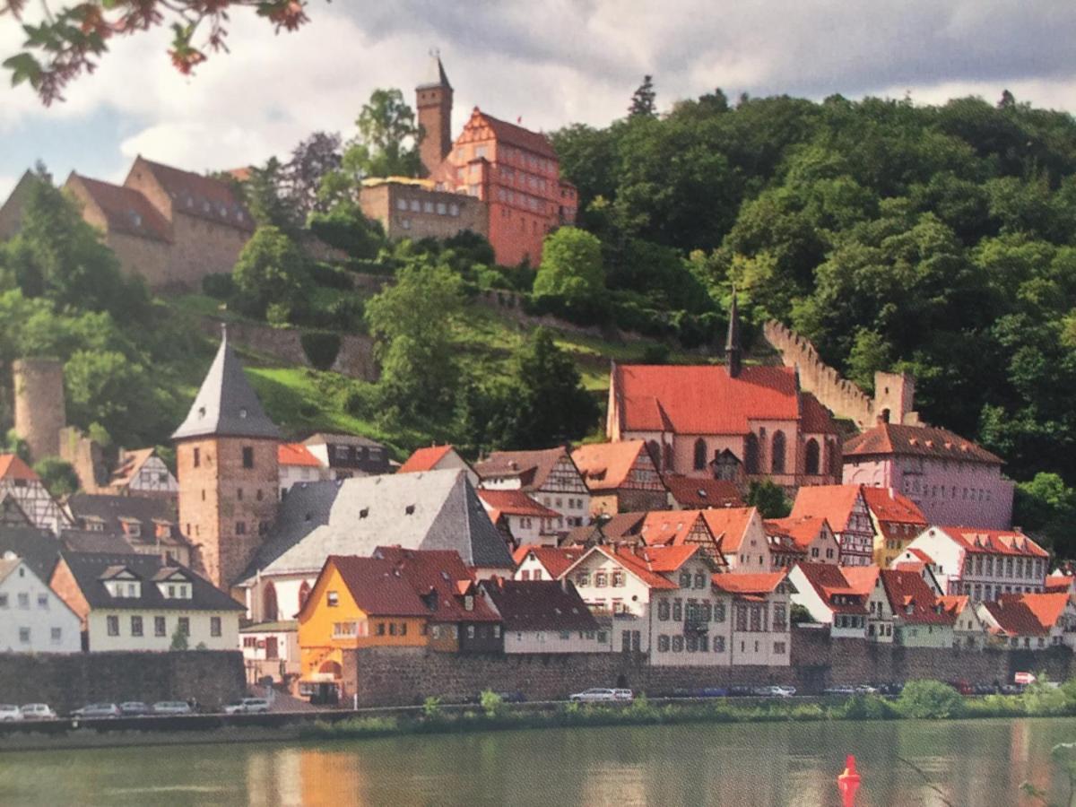 Апартаменты Luftkurort, Perle Des Neckartals Хиршхорн Экстерьер фото