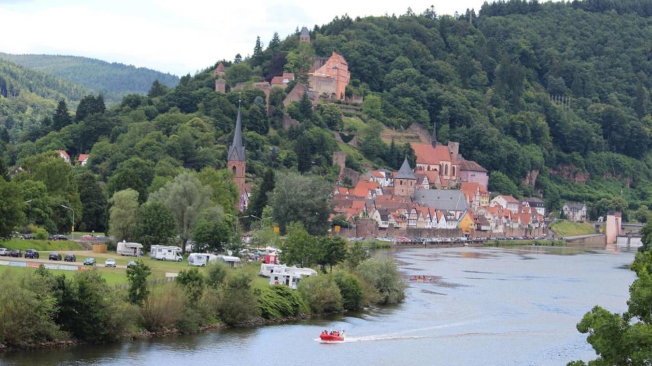 Апартаменты Luftkurort, Perle Des Neckartals Хиршхорн Экстерьер фото